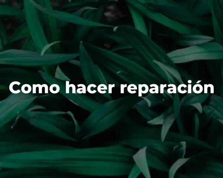 Como hacer reparación