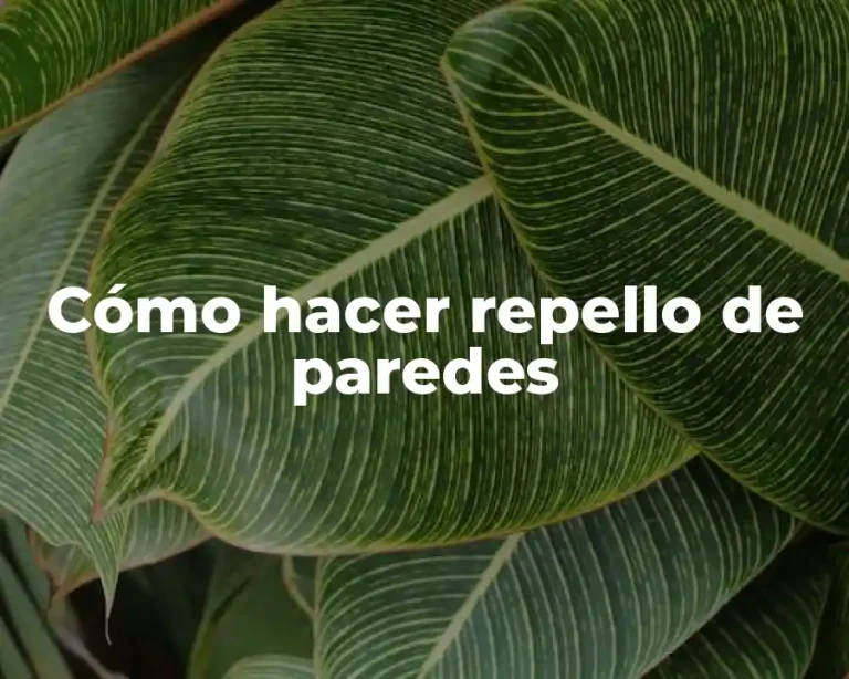 Cómo hacer repello de paredes