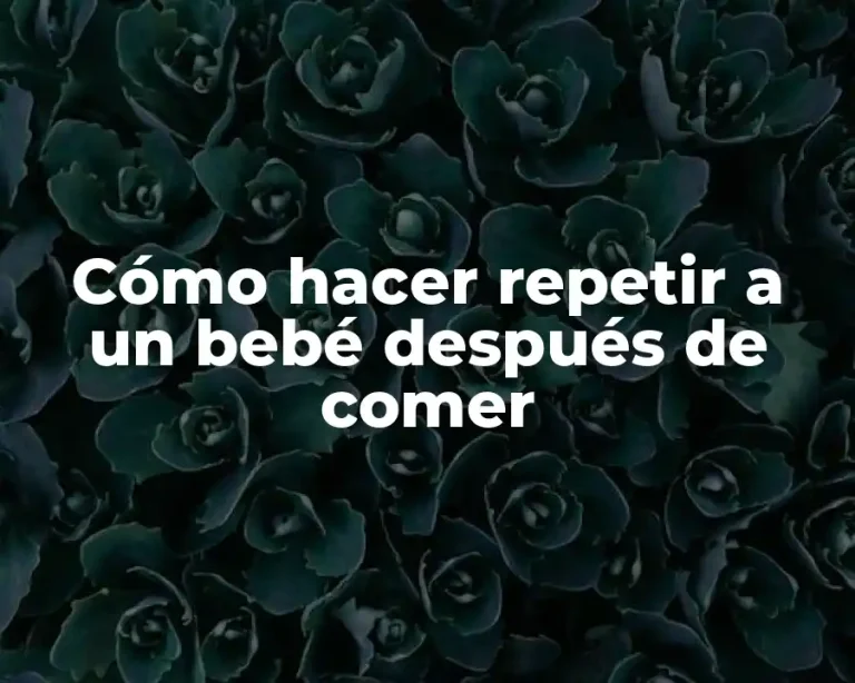 Cómo hacer repetir a un bebé después de comer