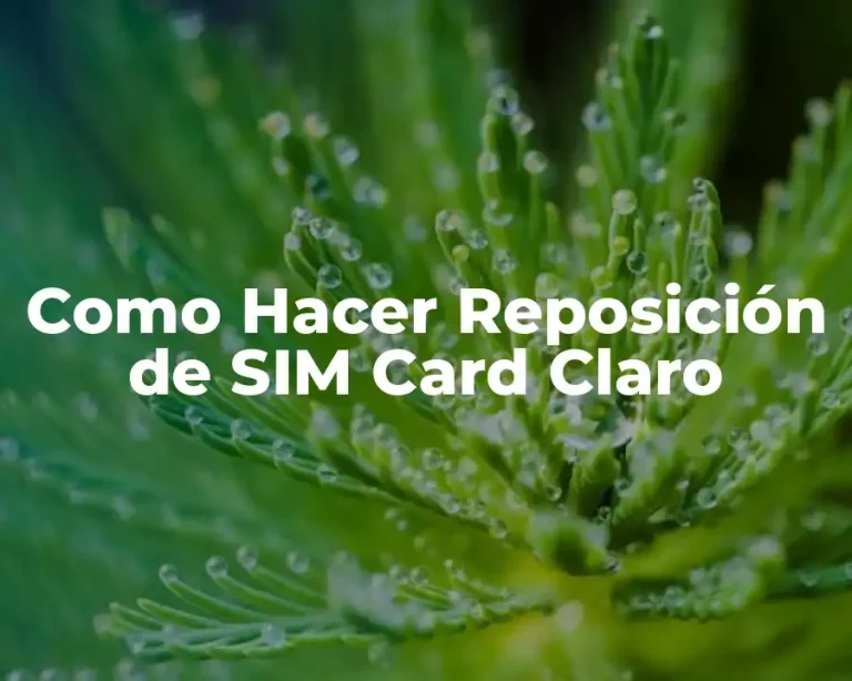 Como Hacer Reposición de SIM Card Claro