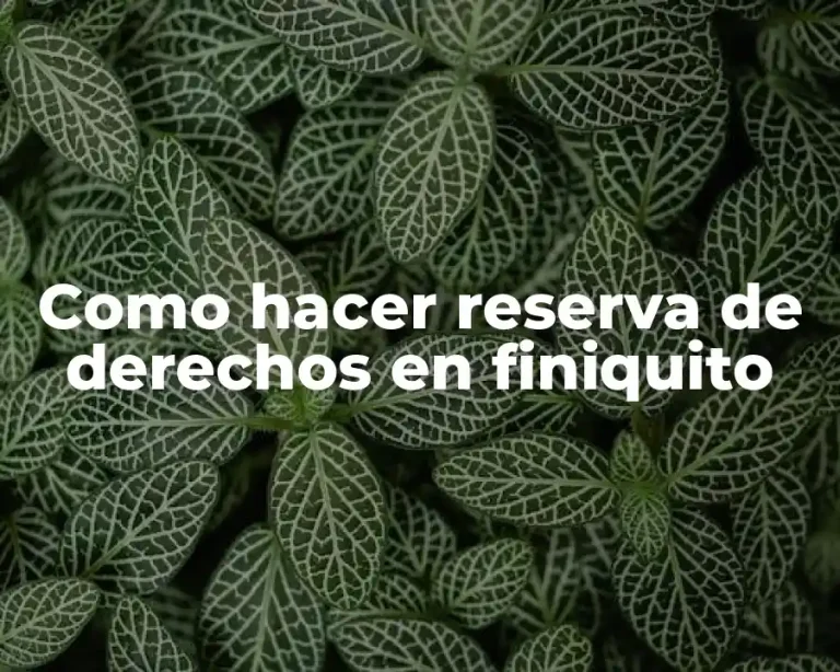 Como hacer reserva de derechos en finiquito