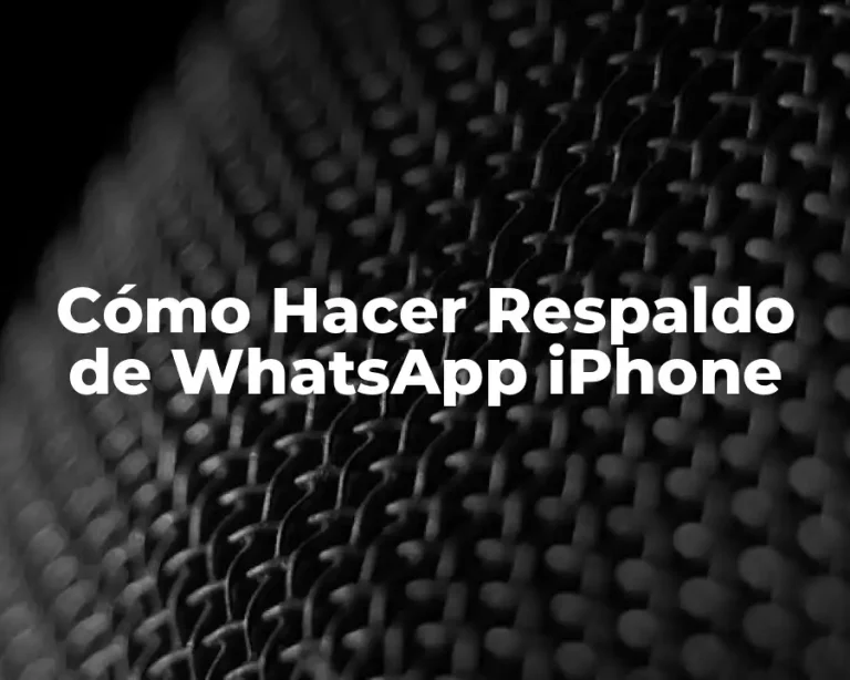 Cómo Hacer Respaldo de WhatsApp iPhone