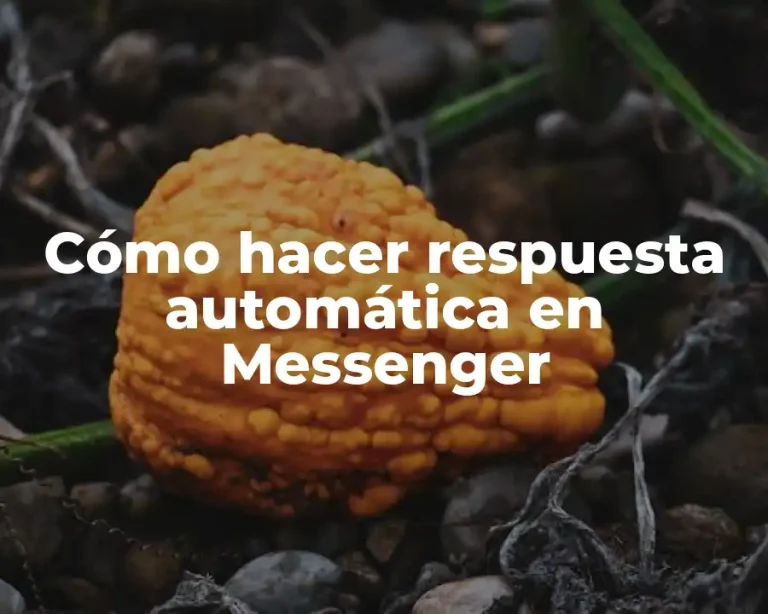 Cómo hacer respuesta automática en Messenger