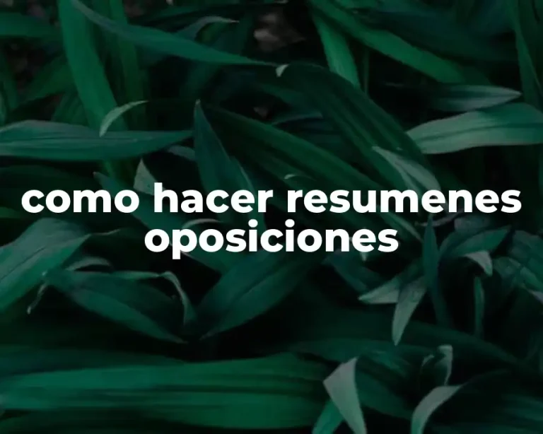 como hacer resumenes oposiciones