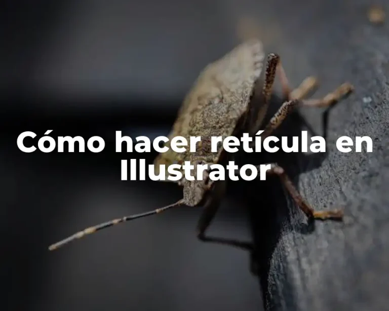 Cómo hacer retícula en Illustrator