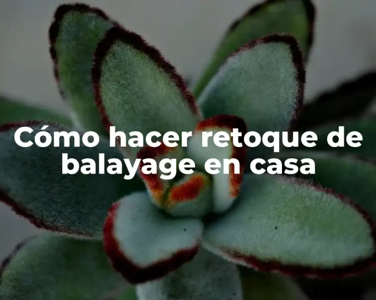 Cómo hacer retoque de balayage en casa