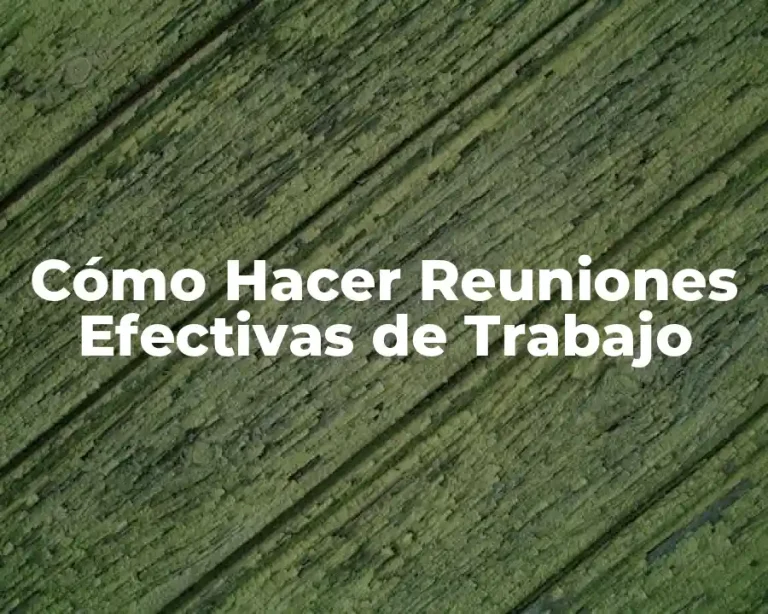 Cómo Hacer Reuniones Efectivas de Trabajo