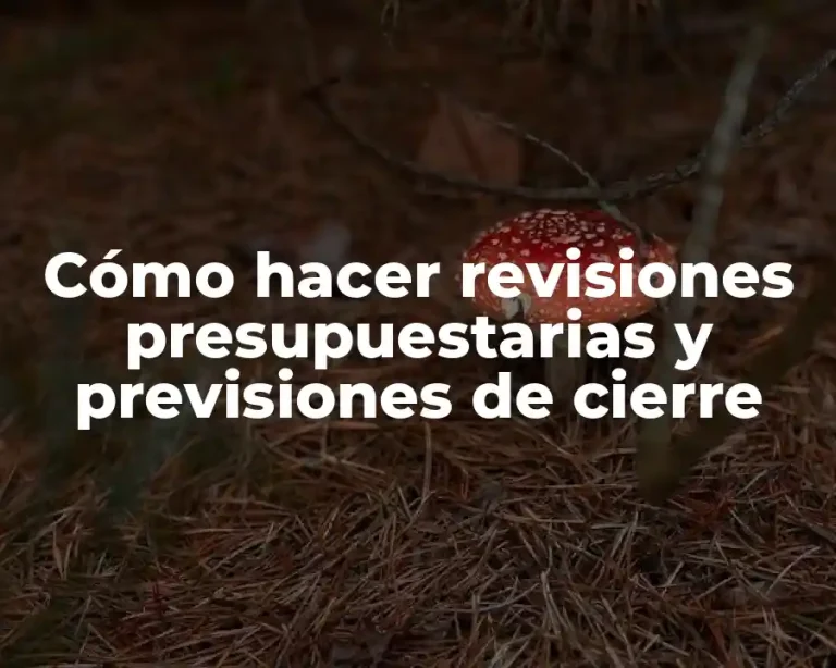 Cómo hacer revisiones presupuestarias y previsiones de cierre