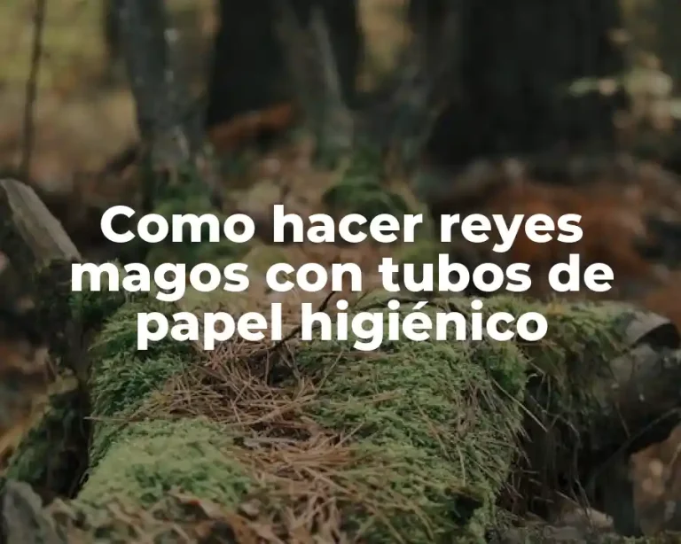 Como hacer reyes magos con tubos de papel higiénico