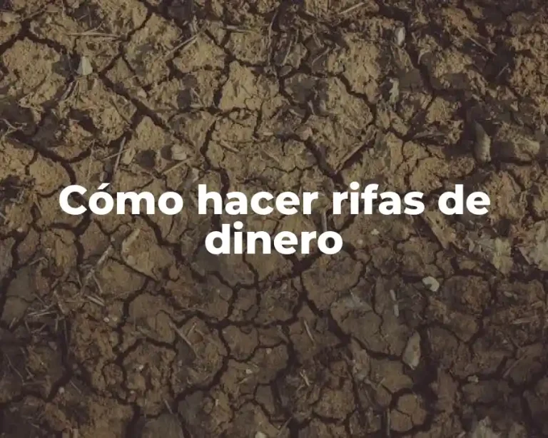 Cómo hacer rifas de dinero