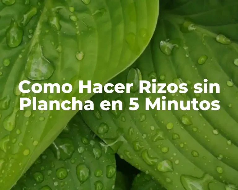 Como Hacer Rizos sin Plancha en 5 Minutos