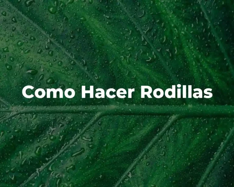 Como Hacer Rodillas