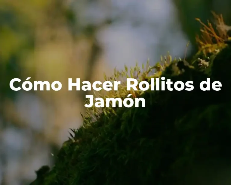 Cómo Hacer Rollitos de Jamón