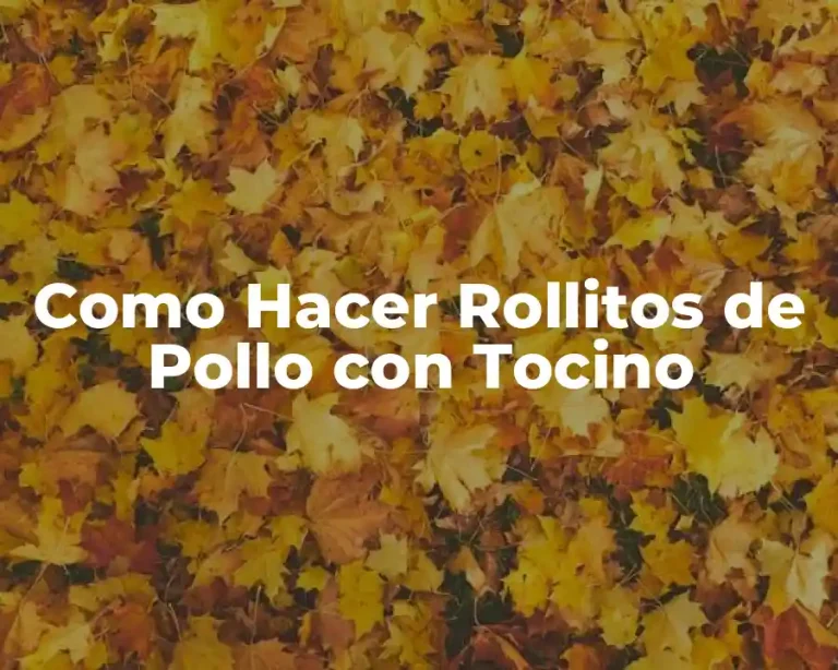 Como Hacer Rollitos de Pollo con Tocino