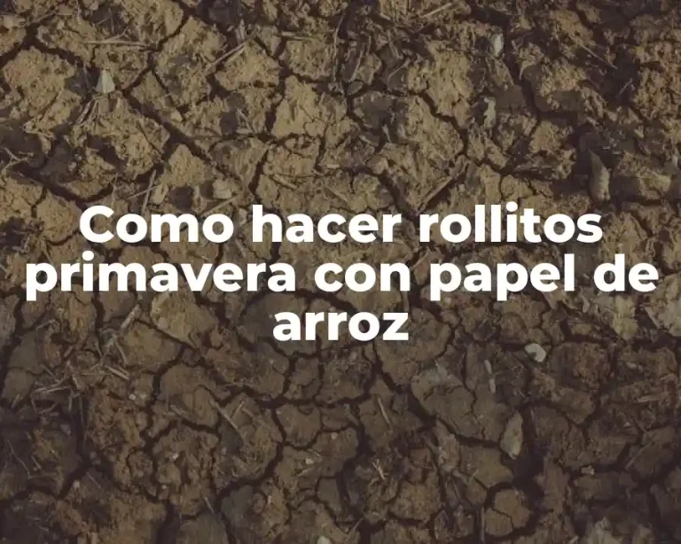 Como hacer rollitos primavera con papel de arroz