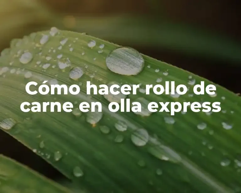 Cómo hacer rollo de carne en olla express