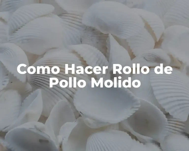 Como Hacer Rollo de Pollo Molido