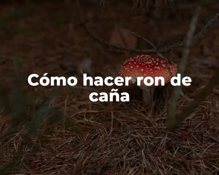 Cómo hacer ron de caña