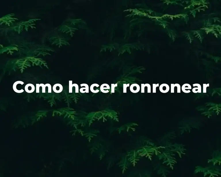 Como hacer ronronear