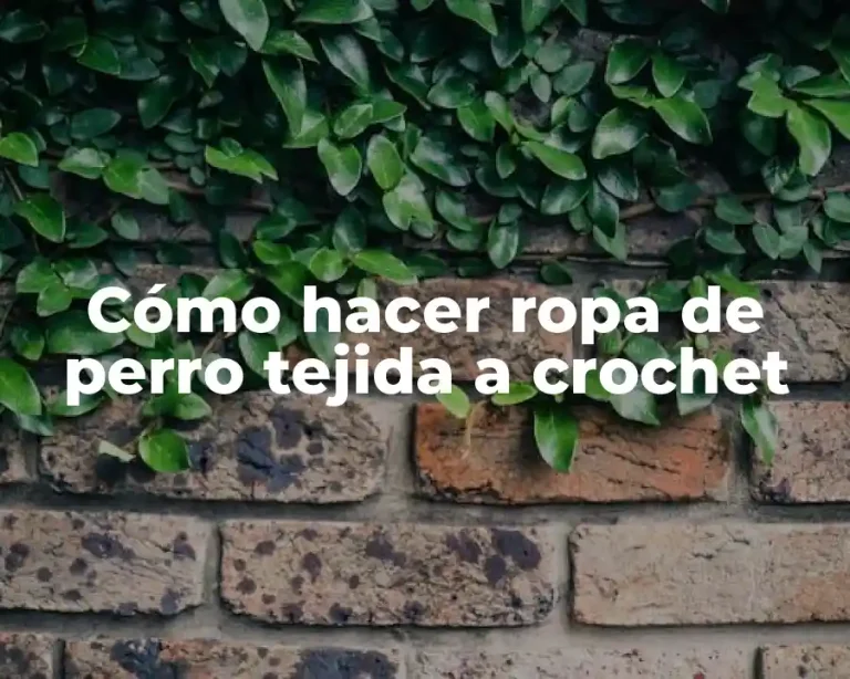 Cómo hacer ropa de perro tejida a crochet