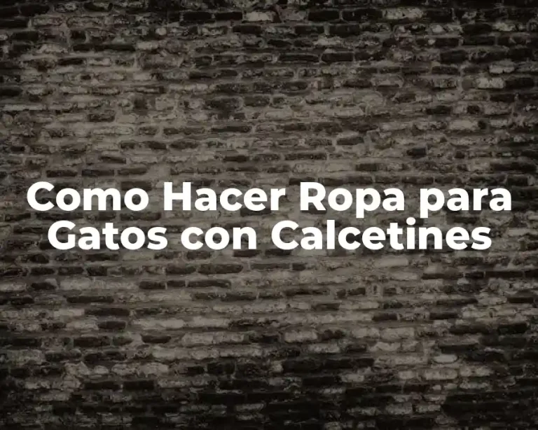 Como Hacer Ropa para Gatos con Calcetines