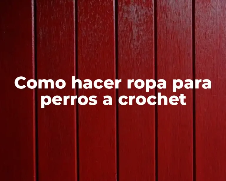 Como hacer ropa para perros a crochet