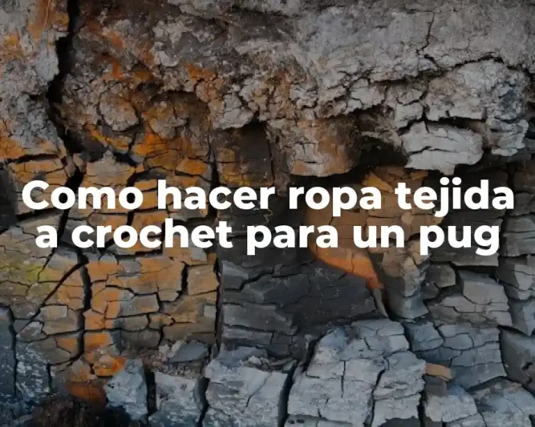 Como hacer ropa tejida a crochet para un pug