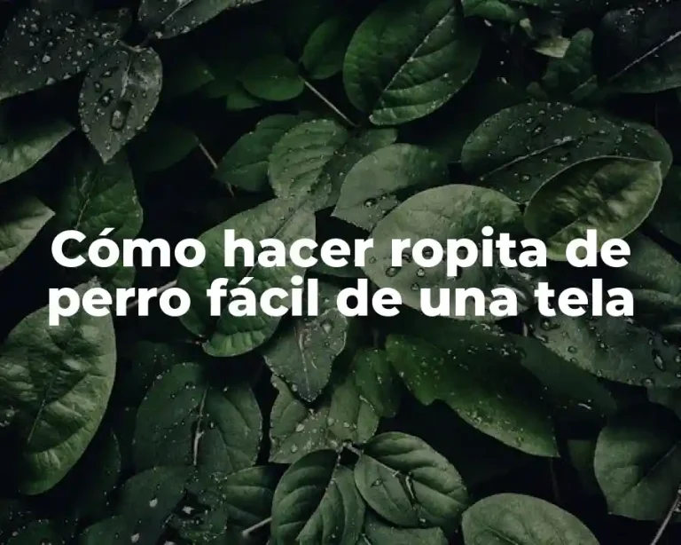 Cómo hacer ropita de perro fácil de una tela