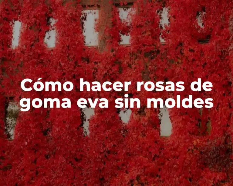 Cómo hacer rosas de goma eva sin moldes