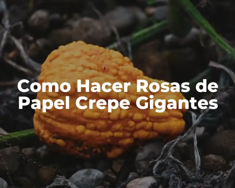 Como Hacer Rosas de Papel Crepe Gigantes
