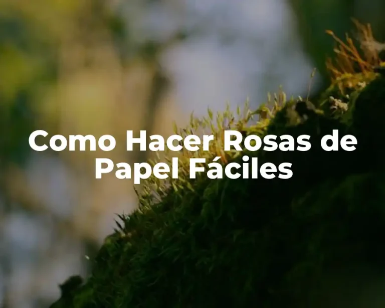 Como Hacer Rosas de Papel Fáciles
