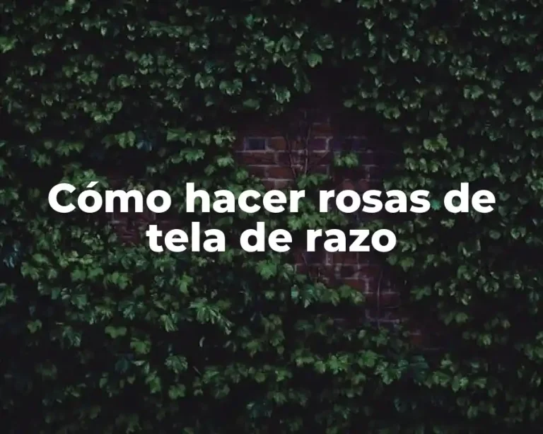 Cómo hacer rosas de tela de razo