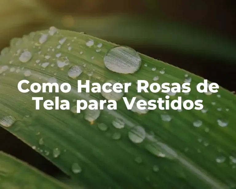 Como Hacer Rosas de Tela para Vestidos