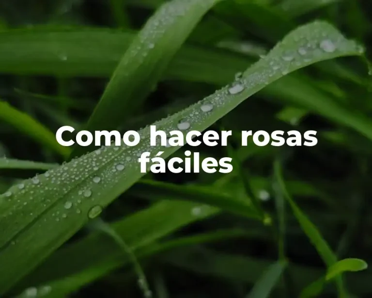 Como hacer rosas fáciles