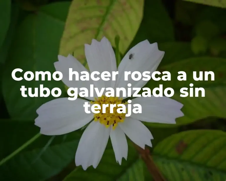 Como hacer rosca a un tubo galvanizado sin terraja
