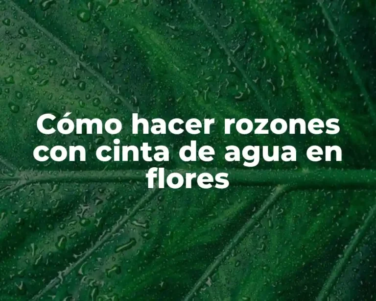Cómo hacer rozones con cinta de agua en flores