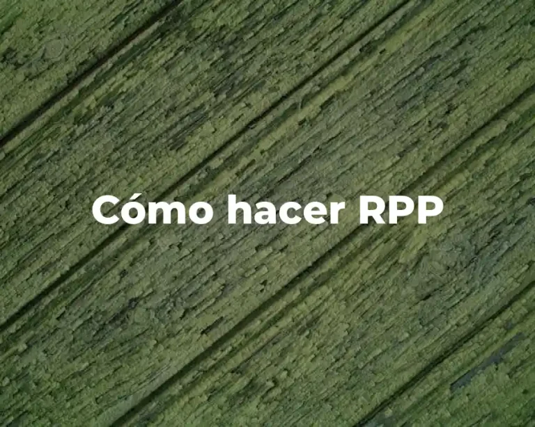 Cómo hacer RPP