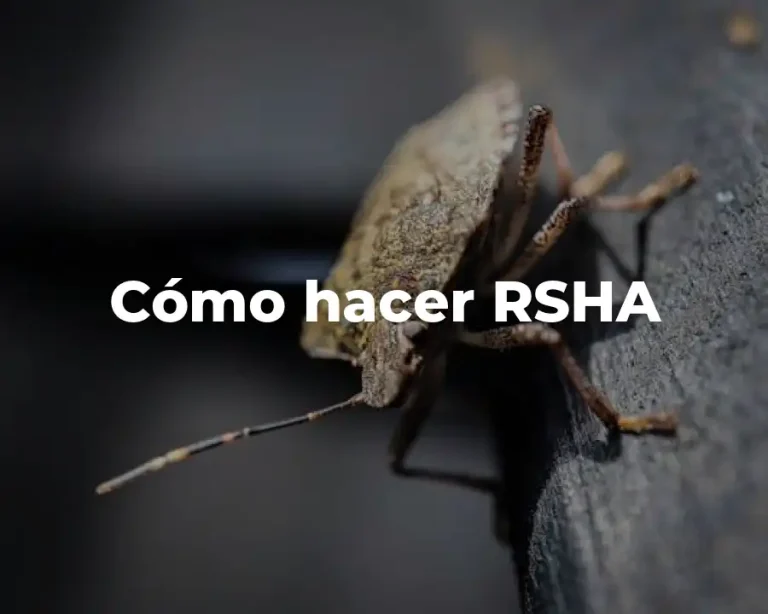 Cómo hacer RSHA