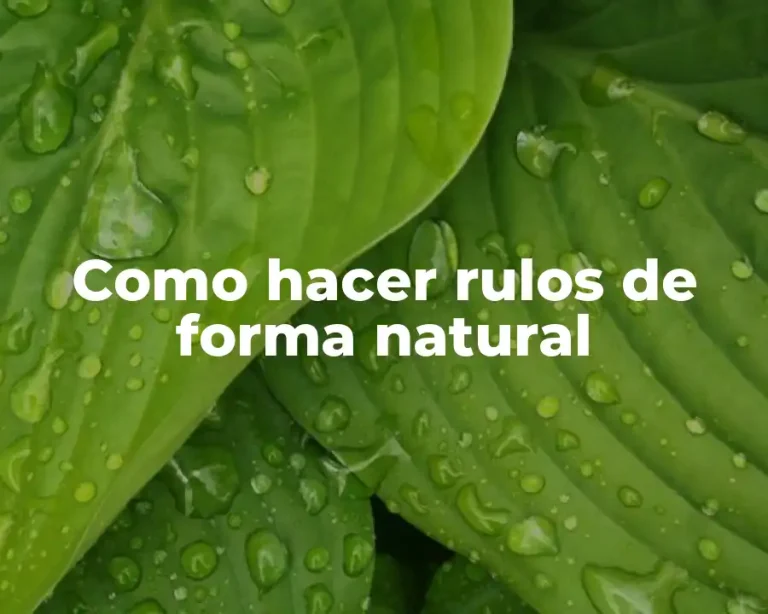 Como hacer rulos de forma natural