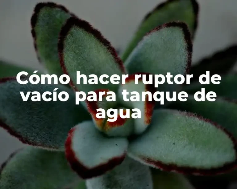 Cómo hacer ruptor de vacío para tanque de agua