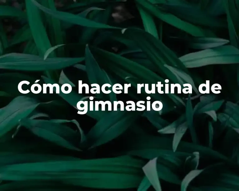 Cómo hacer rutina de gimnasio