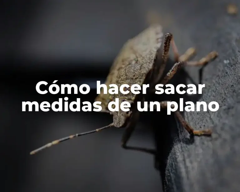 Cómo hacer sacar medidas de un plano