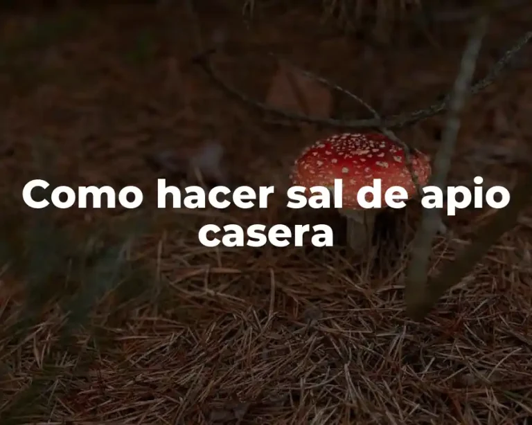 Como hacer sal de apio casera