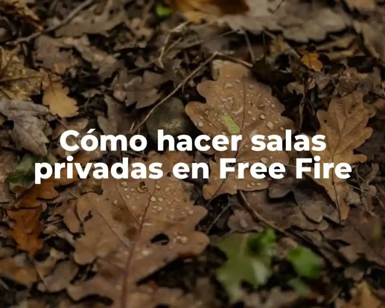 Cómo hacer salas privadas en Free Fire