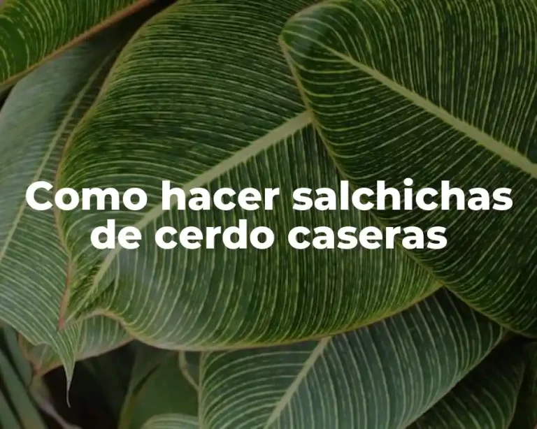 Como hacer salchichas de cerdo caseras