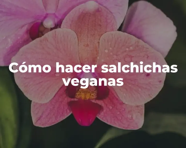 Cómo hacer salchichas veganas