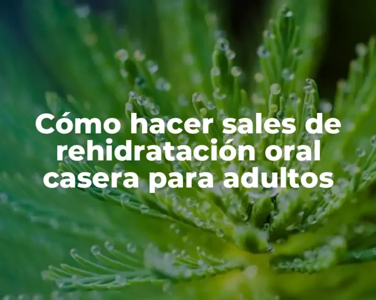 Cómo hacer sales de rehidratación oral casera para adultos