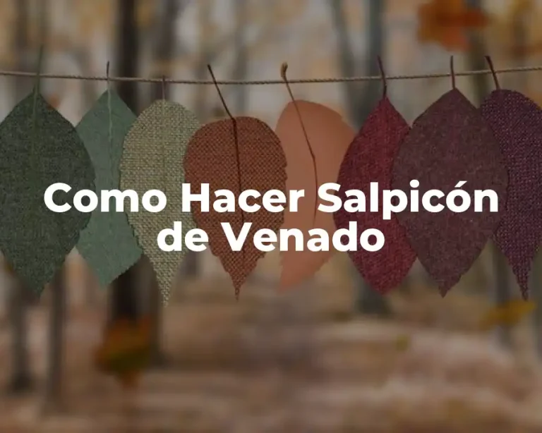 Como Hacer Salpicón de Venado