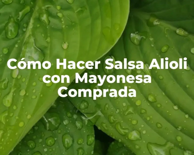 Cómo Hacer Salsa Alioli con Mayonesa Comprada