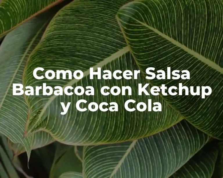 Como Hacer Salsa Barbacoa con Ketchup y Coca Cola